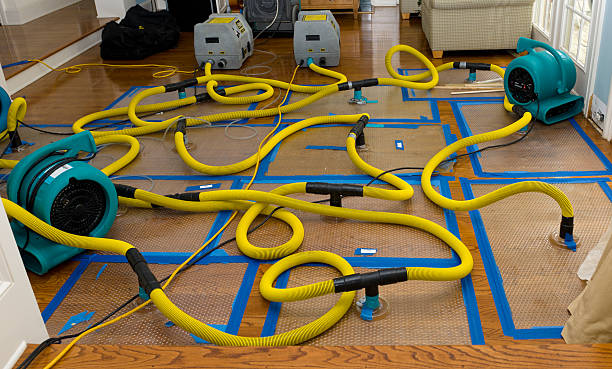 Professional Structural Drying And Dehumidification technician working in Knoxville, IL